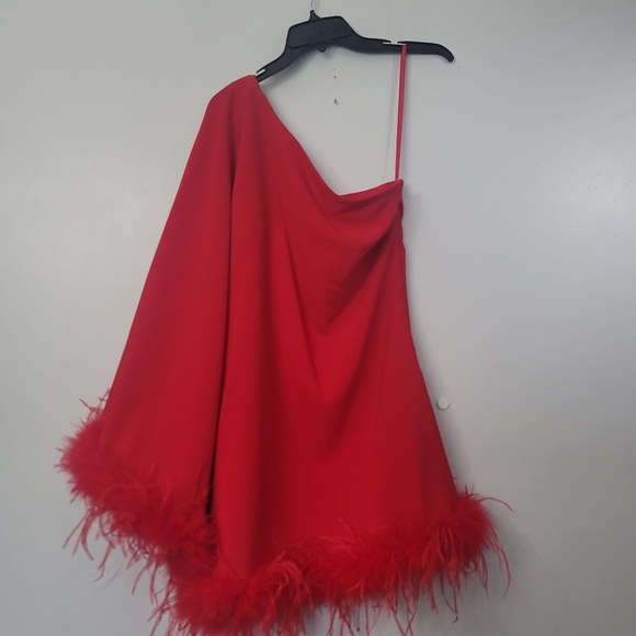 Antonio Melani Cosima One Sleeve Asymmetrical Neckline Feather Trim Dress - Picture 9 of 11